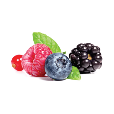 Speedy frutti di bosco Di Gel
