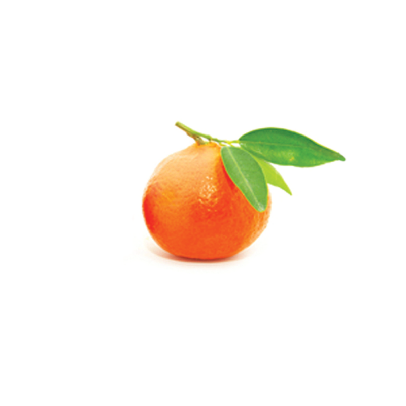 Speedy mandarino Di Gel