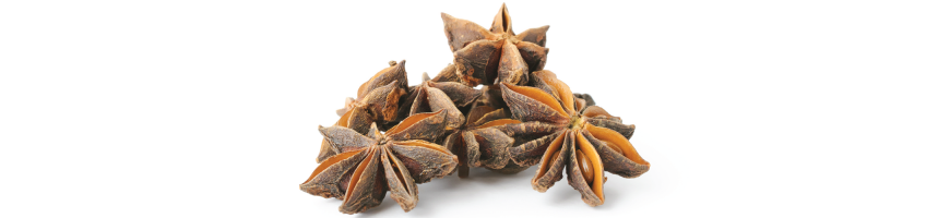 Spezie - erbe aromatiche